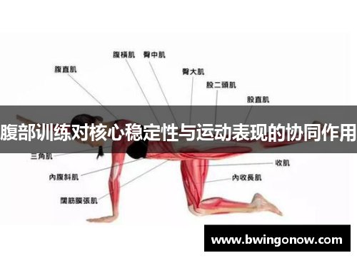 腹部训练对核心稳定性与运动表现的协同作用