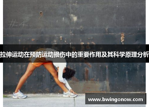 拉伸运动在预防运动损伤中的重要作用及其科学原理分析